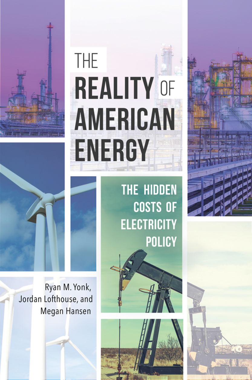 The Reality of American Energy: The Hidden Costs of Electricity Policy page Cover1